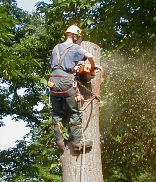 second Feature Image